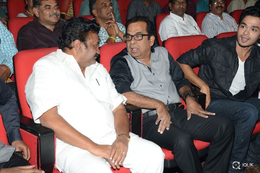 Vinavayya-Ramayya-Movie-Audio-Launch